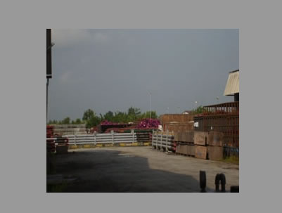 Feature Image